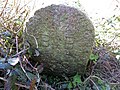 wikimedia_commons=File:BB55 Boundary Stone, Pebsham.jpg