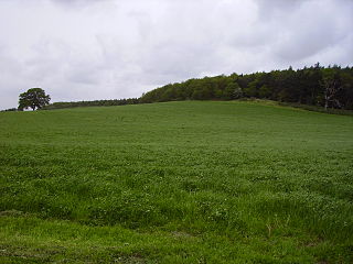 <span class="mw-page-title-main">Badbury Hill</span>