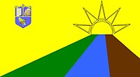 Bandera del Municipio Pedro Zaraza.