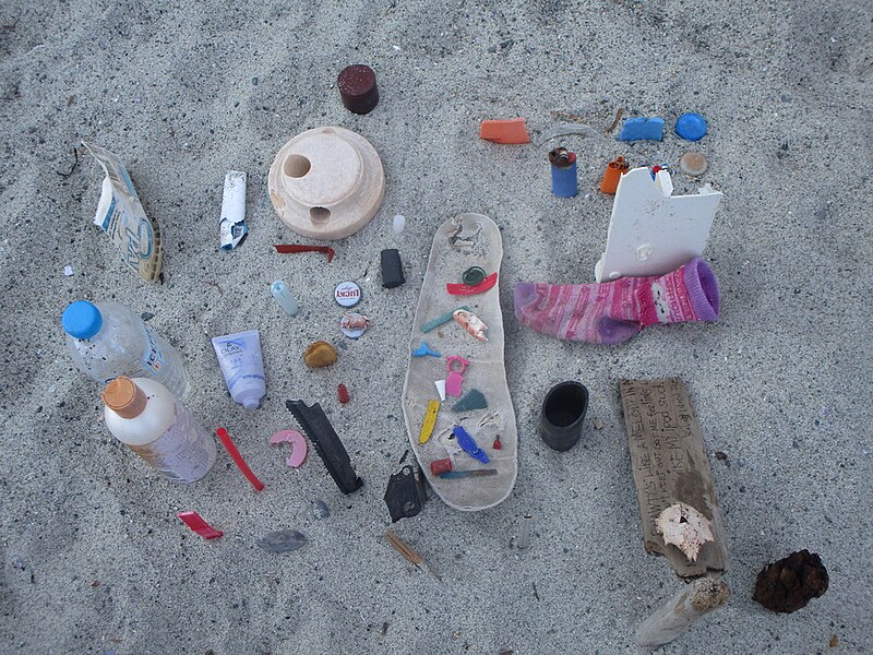 File:Beach LItter.jpg