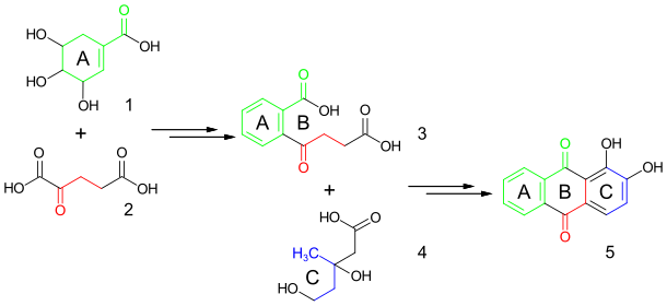 Biosynthese von Alizarin aus Shikimisäure, α-Ketoglutarsäure und Mevalonsäure