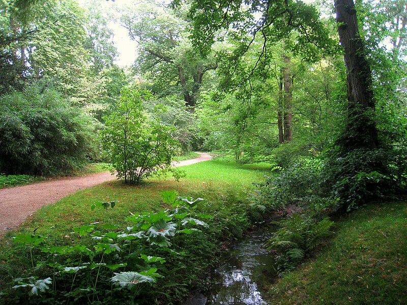 File:Botanischer Garten der TU Darmstadt - IMG 7042.JPG