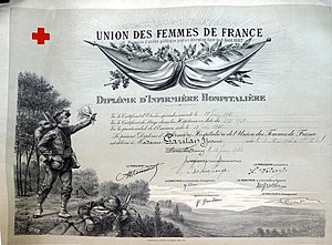 Croix-Rouge Française: Histoire, Structure et organisation, Les domaines daction de la Croix-Rouge française