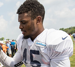 Brock vereen bears 2015.jpg