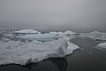 Buiobuione - Artic Scenic view of Greenland icebergs in Baffin Bay in Disko Bay 08.jpg