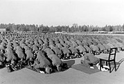 hundreds of men kneeling and bent over in Muslim prayer