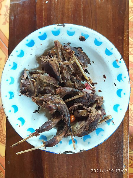 File:Burung Bangau goreng.jpg