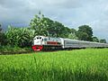 Kereta api Progo melintas di Banyuraden, Gamping, Sleman
