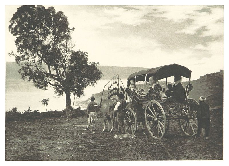 File:CLEMENT(1895) pg361 Turkish Ladies in Carriage.jpg