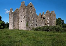 Another view of Burncourt Castle Castles of Munster, Burncourt, Tipperary - geograph.org.uk - 1393343.jpg