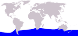 Area di distribuzione dell'Hyperodon meridionale