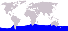 Cetacea range map Southern Bottlenose Whale.PNG
