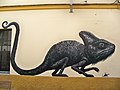 Chameleon by ROA - Front view