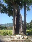 Chandrawati Stone Chandrawati Stone.jpg