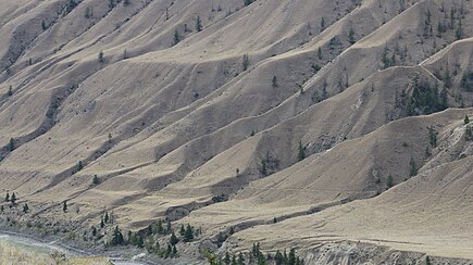 Grassland benches above the Fraser River in the park ChurnCreekGrasslands.JPG