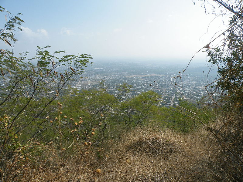 File:Ciudad Victoria, Tamaulipas (5657384357).jpg