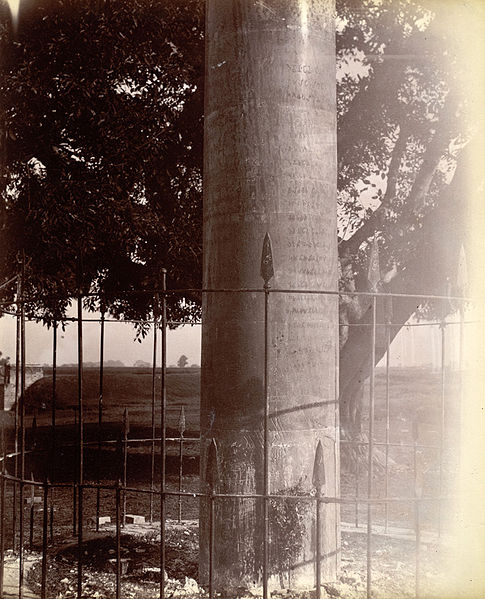 Image: Close view of Lauriya Nandangarh Ashoka Pillar