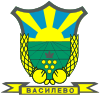 Lambang kebesaran Munisipalitas Vasilevo
