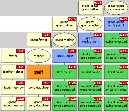 Family tree showing the relationship of each person to the orange person, including cousins and gene share