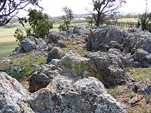 Vesicular Dacite on top of Crace Hill Crace Hill rocks.jpg