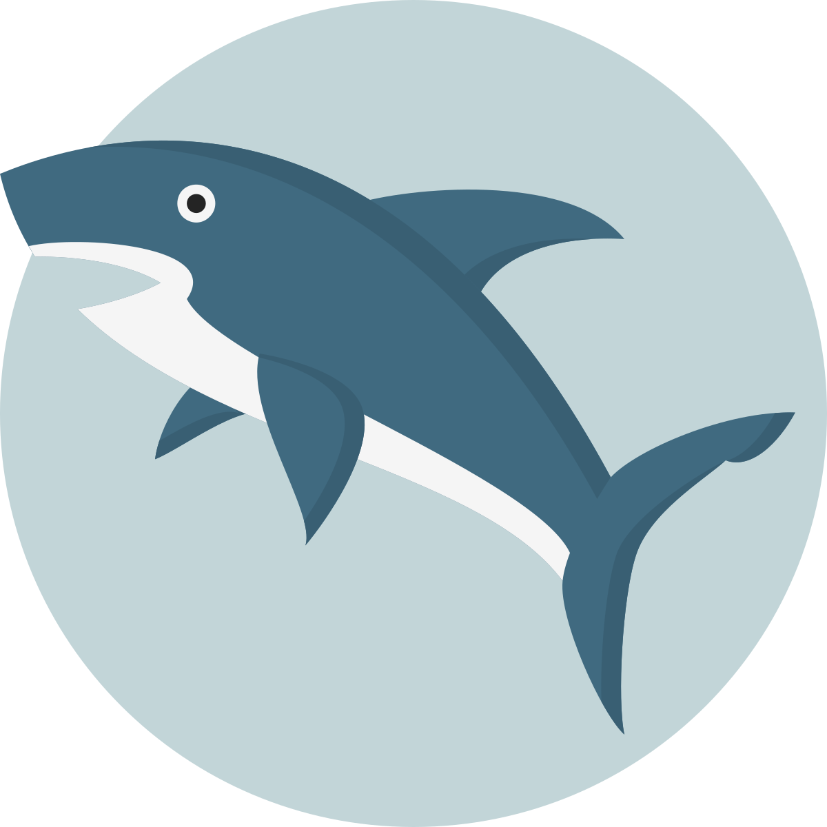 File Creative Tail Animal Shark Svg Wikimedia Commons