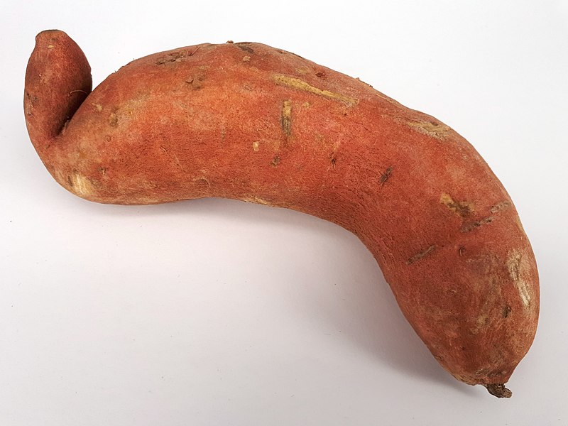 File:Curved sweet potato 2017 A.jpg