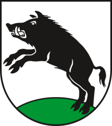 DE ST 15 0 91 145 Schweinitz COA