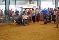 Delaware State Fair - 2012 (7695723810).jpg