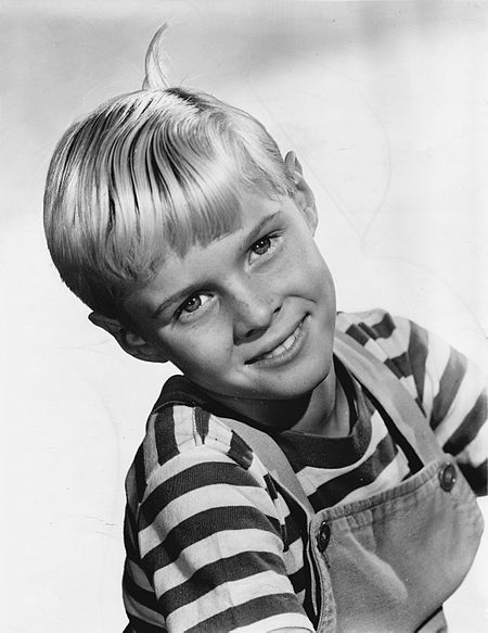 Dennis the Menace Jay North 1960.jpg