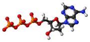 Deoxyadenozíntrifosfát