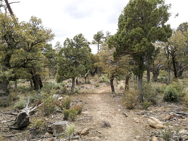 File:Derrick Trail, Payson, Arizona - panoramio (12).jpg