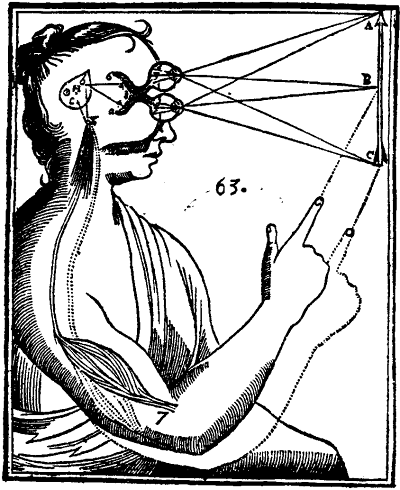 By René Descartes(?) - Scanned from Dagfinn Døhl Dybvig & Magne Dybvig (2003). Det tenkende mennesket. Oslo: Tapir akademisk forlag. ISBN 8251918642. Page 173. Which had it from Descartes: The World and Other Writings. Cambridge U.P. 1998., Public Domain, https://commons.wikimedia.org/w/index.php?curid=293497