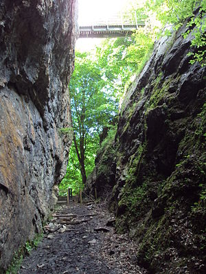 Devil's Gorge Devil's Gorge, near Loggerheads - DSC06396.JPG