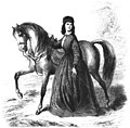 Die Gartenlaube (1865) b 485.jpg Emma Edmonds, das Heldenweib der Unionsarmee