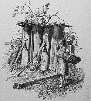 Die Gartenlaube (1897) b 476 2.jpg