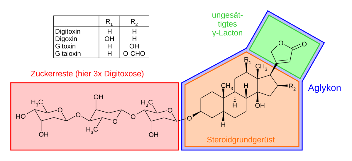 Digitalis-Glykoside