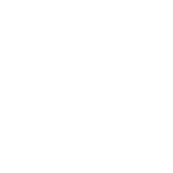 File:Disc Plain white.svg - Wikimedia Commons