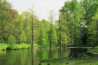 Botanischer Garten Rombergpark