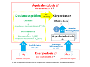 Dosisgrößen der Äquivalentdosis und Zusammenhang mit der Energiedosis.png