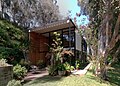 Foto van het Eames House, een boxy gebouw met een gezicht van rechthoeken van verschillende kleuren en helder glas, overschaduwd door hoge eucalyptusbomen.