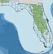 Burdigian through Langhian stage of Miocene Florida. Gulf Trough is filled and Florida connected with the mainland. Early Miocene Florida Burdigian.png