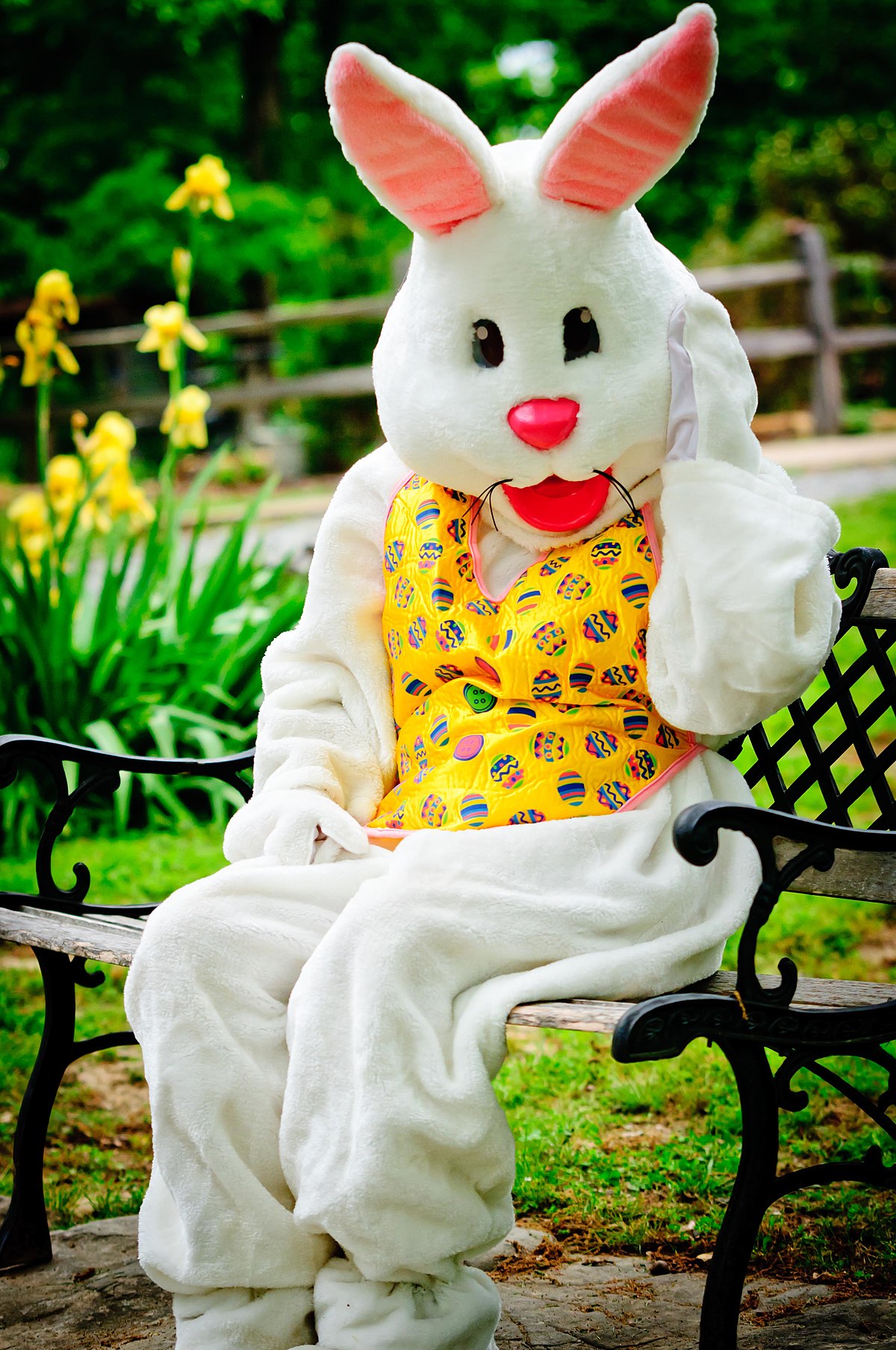 Download File:Easter Bunny.JPG - Wikimedia Commons