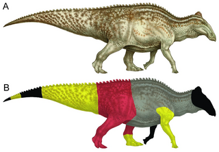 <span class="mw-page-title-main">Dakota (fossil)</span> Fossil Edmontosaurus annectens