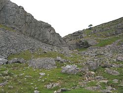 Creigiau Eglwyseg, where several nationally rare plants can be found. Eglwyseg.jpg