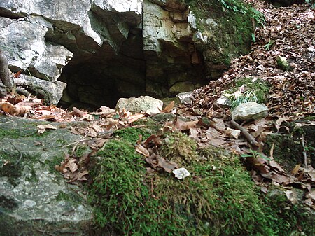 Elsachbröller Portal