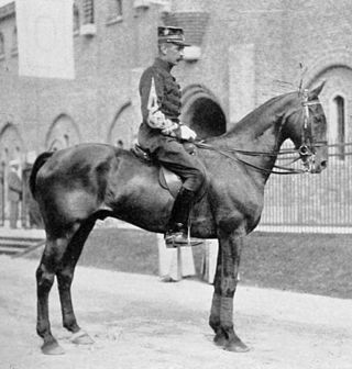 <span class="mw-page-title-main">Emmanuel de Blommaert</span> Belgian equestrian