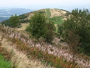 End Hill - geograph.org.uk - 975261.jpg