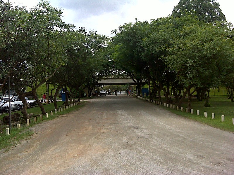 Parque Tietê SP