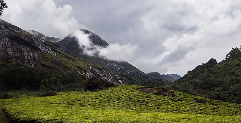 File:Eravikulam National Park Landscape-1.jpg