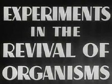 Датотека:Experime1940.ogv